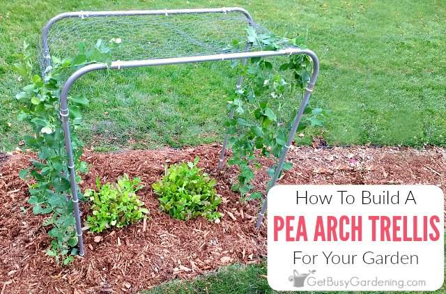 7 Awesome Pea Trellis Ideas For Gardening In Small Spaces 0925