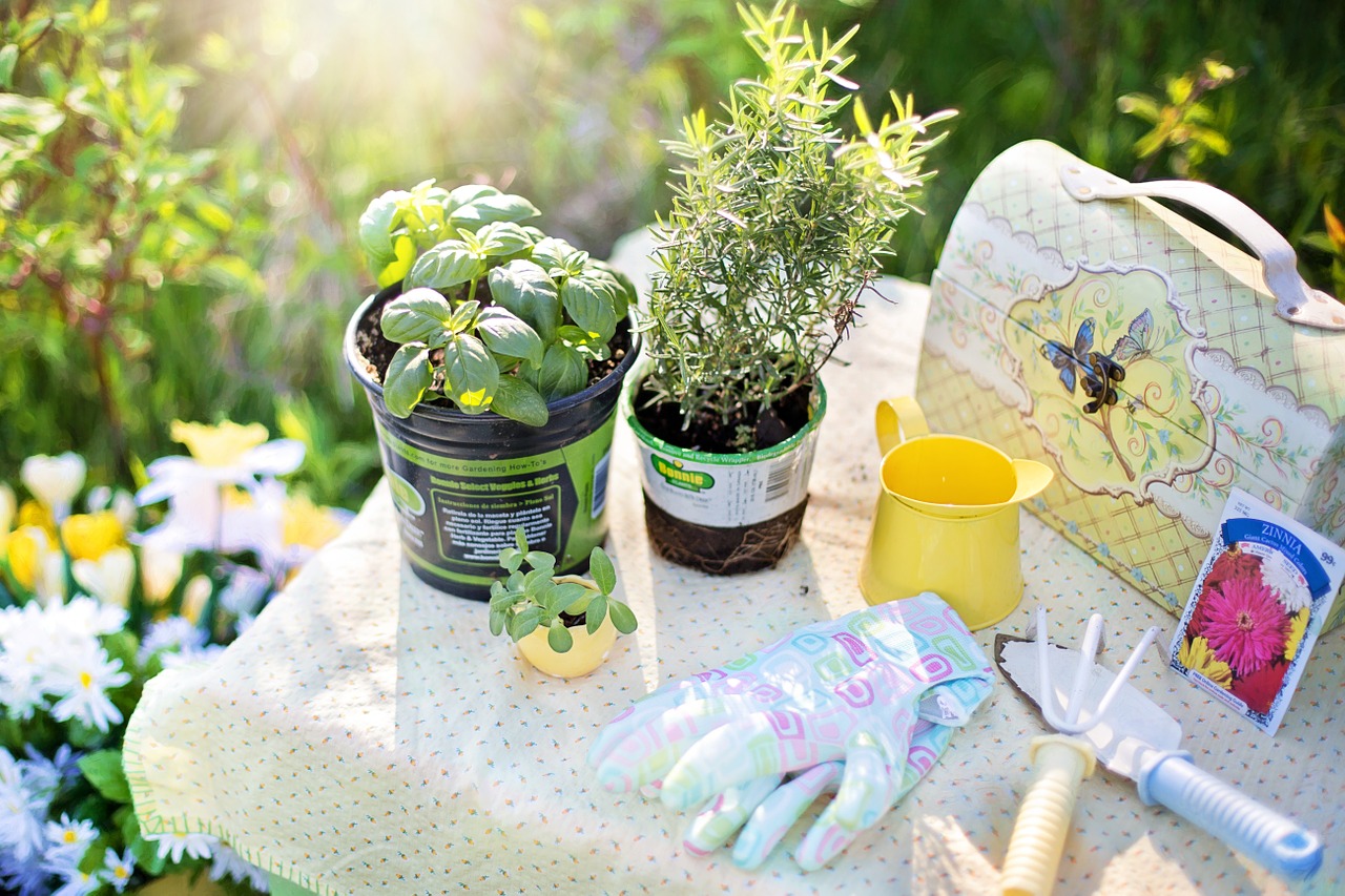 picking the right depth of containers for growing herbs